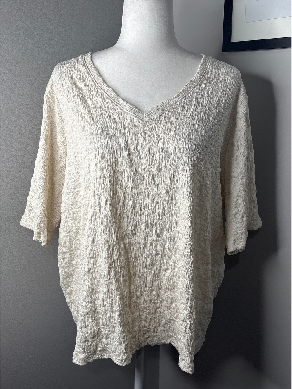 Simply Vera Vera Wang Women's 2X Cream Textured V-Neck Top